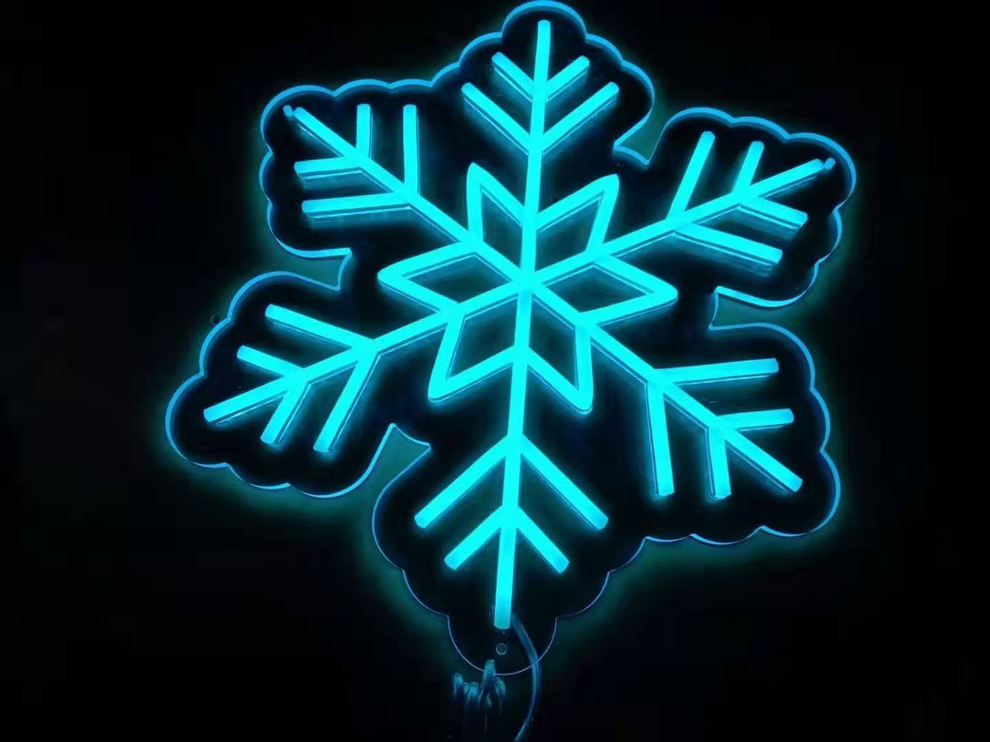 Custom LED Neon Sign