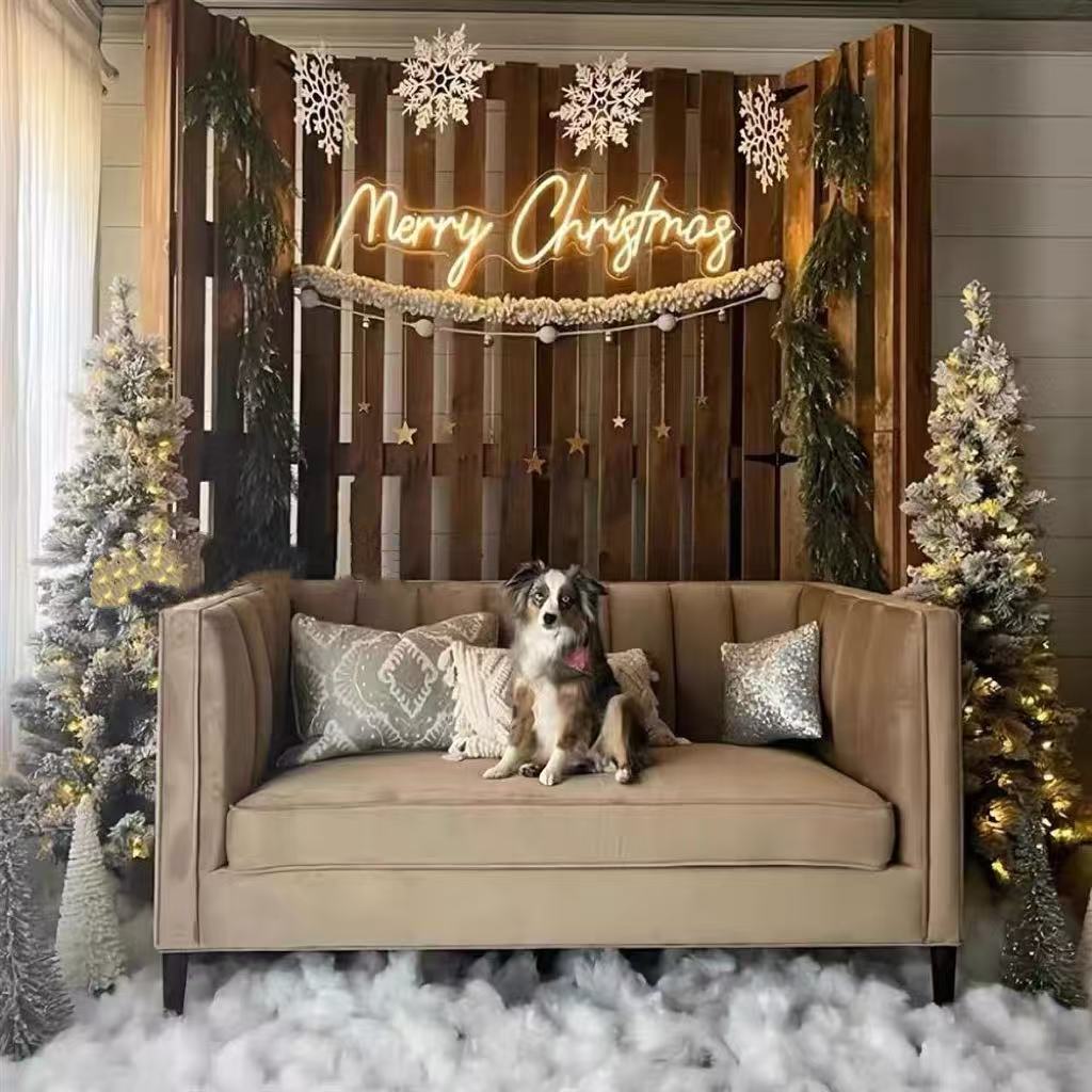 Merry Christmas Neon Sign